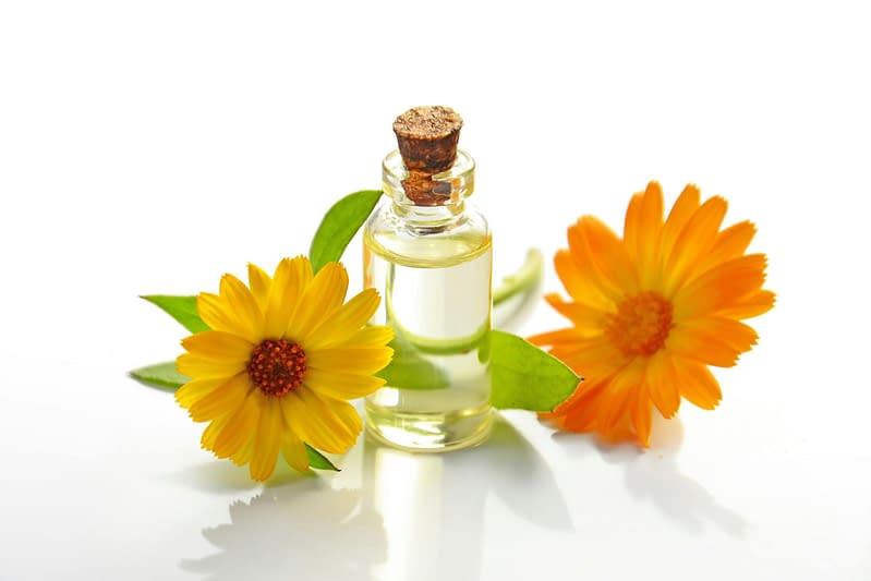 Chamomile flower in soft focus, symbolizing its gentle healing and calming properties.